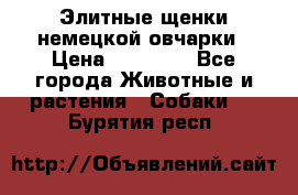 Элитные щенки немецкой овчарки › Цена ­ 30 000 - Все города Животные и растения » Собаки   . Бурятия респ.